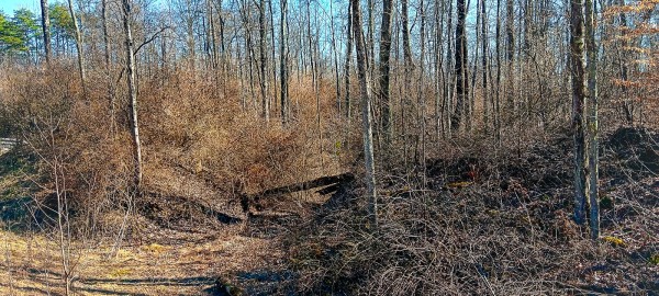 Tract 3 at Turkey Run property photo