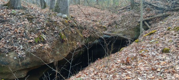 Tract 1 at Crown Wildlife Retreat property photo