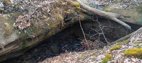 Tract 1 at Crown Wildlife Retreat property photo