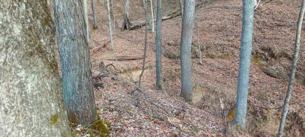 Tract 1 at Crown Wildlife Retreat property photo