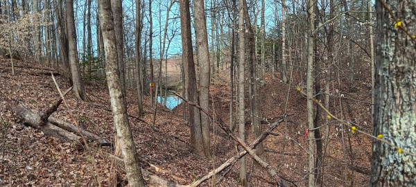 Tract 1 at Crown Wildlife Retreat property photo