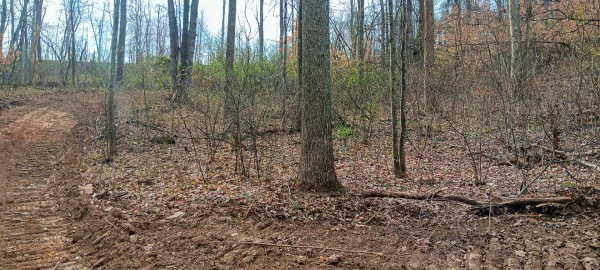 Tract 1 at Crown Wildlife Retreat property photo
