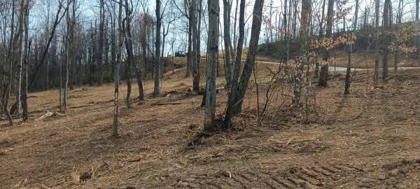 Tract 1 at Crown Wildlife Retreat property photo