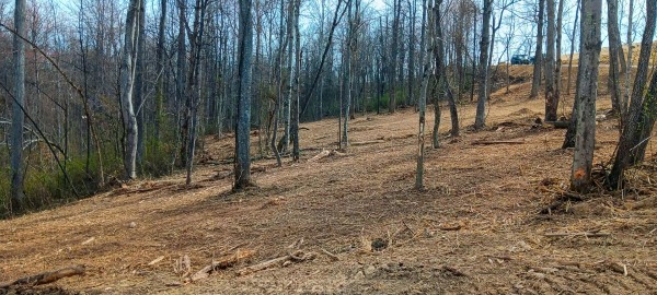Tract 1 at Crown Wildlife Retreat property photo
