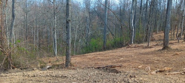 Tract 1 at Crown Wildlife Retreat property photo