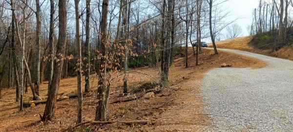 Tract 1 at Crown Wildlife Retreat property photo
