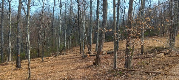 Tract 1 at Crown Wildlife Retreat property photo