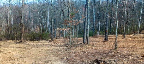 Tract 1 at Crown Wildlife Retreat property photo
