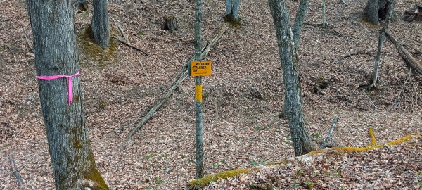 More of Tract 1 at Crown Wildlife Retreat