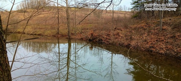 More of Tract 1 at Crown Wildlife Retreat