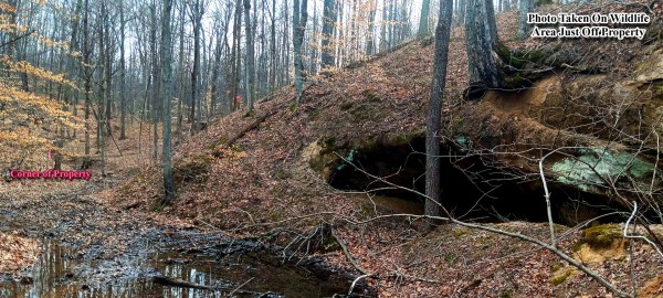 More of Tract 1 at Crown Wildlife Retreat