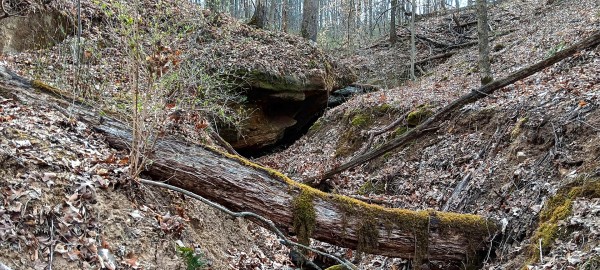 Tract 1 at Crown Wildlife Retreat property photo