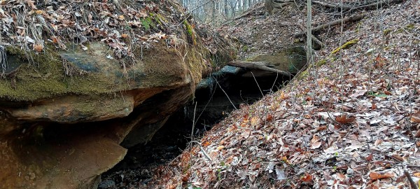 Tract 1 at Crown Wildlife Retreat property photo