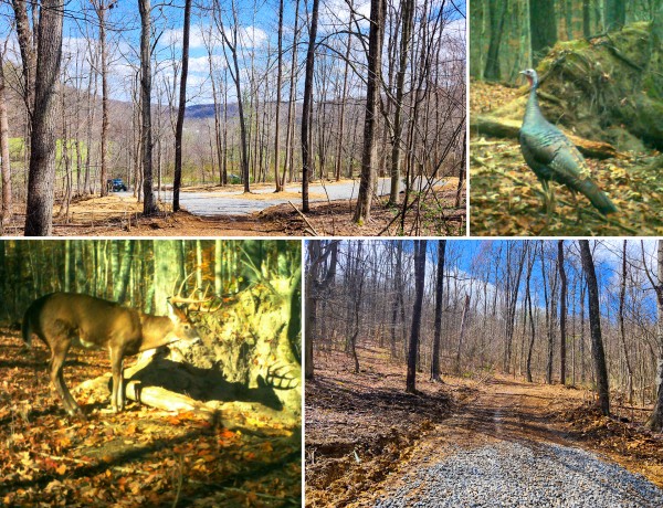 Tract 1 - Pike Lake Getaway