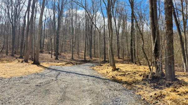 Tract 1 - Pike Lake Getaway property photo