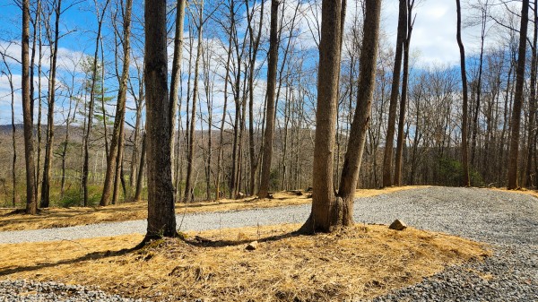 Tract 1 - Pike Lake Getaway property photo