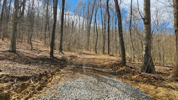 Tract 1 - Pike Lake Getaway property photo