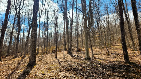 Tract 1 - Pike Lake Getaway property photo