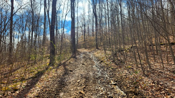 Tract 1 - Pike Lake Getaway property photo