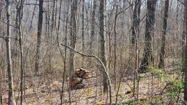 Tract 1 - Pike Lake Getaway property photo