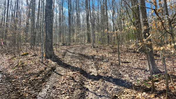 Tract 1 - Pike Lake Getaway property photo