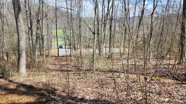 Tract 1 - Pike Lake Getaway property photo