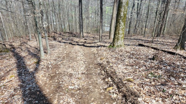 Tract 1 - Pike Lake Getaway property photo