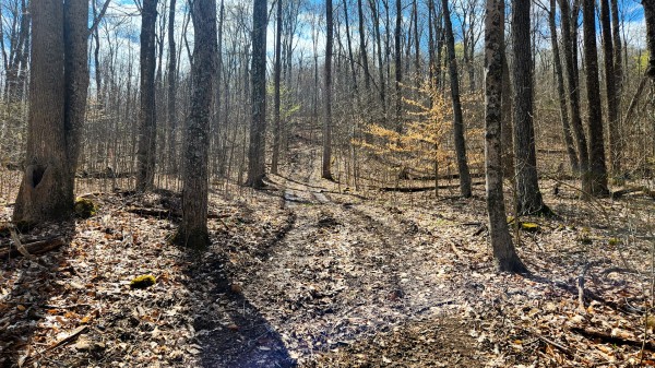 Tract 1 - Pike Lake Getaway property photo