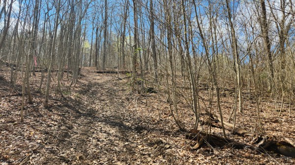 Tract 1 - Pike Lake Getaway property photo