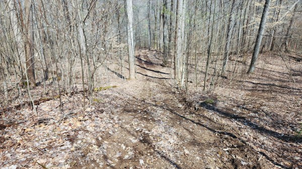Tract 1 - Pike Lake Getaway property photo