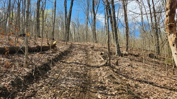 Tract 1 - Pike Lake Getaway property photo