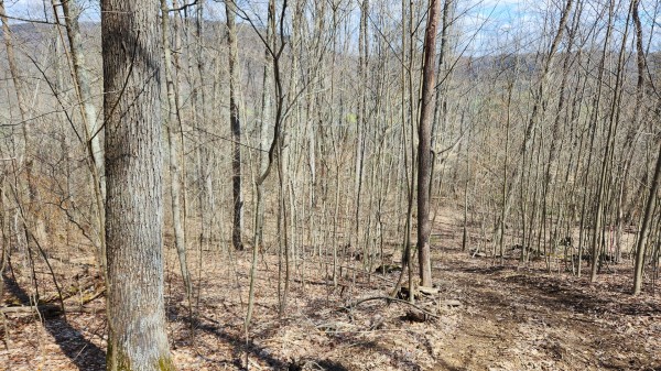 Tract 1 - Pike Lake Getaway property photo