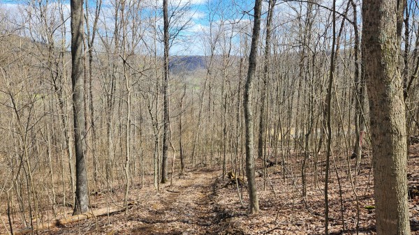 Tract 1 - Pike Lake Getaway property photo