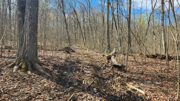 Tract 1 - Pike Lake Getaway property photo