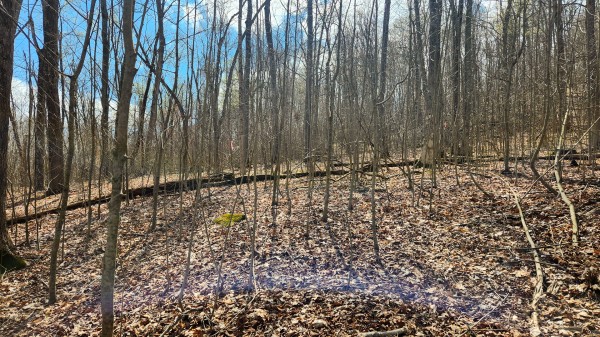Tract 1 - Pike Lake Getaway property photo