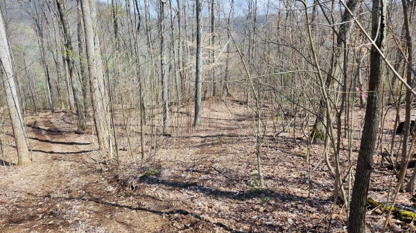 More of Tract 1 - Pike Lake Getaway