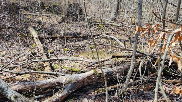 Tract 1 - Pike Lake Getaway property photo