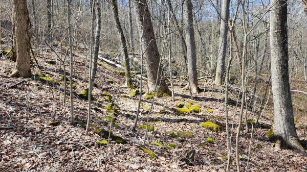 Tract 1 - Pike Lake Getaway property photo