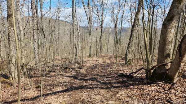 Tract 1 - Pike Lake Getaway property photo