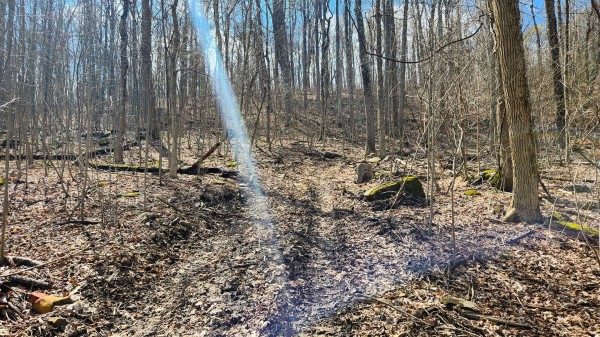 Tract 1 - Pike Lake Getaway property photo