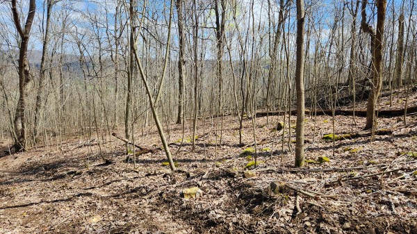 Tract 1 - Pike Lake Getaway property photo
