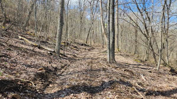 Tract 1 - Pike Lake Getaway property photo