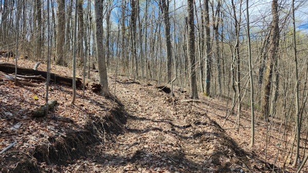 More of Tract 1 - Pike Lake Getaway