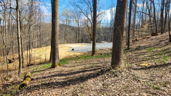 Tract 2 - Pike Lake Getaway property photo