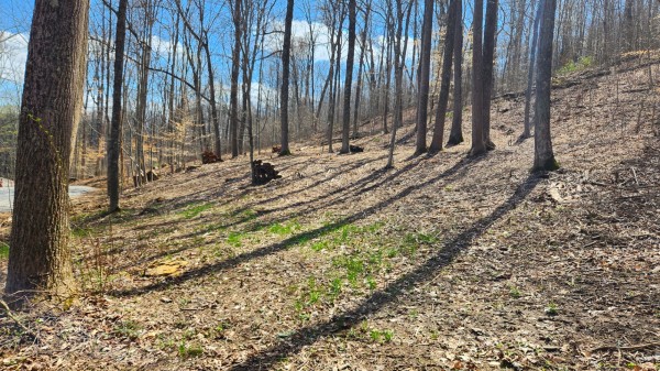 Tract 2 - Pike Lake Getaway property photo