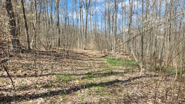 Tract 2 - Pike Lake Getaway property photo
