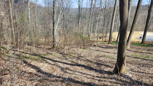 Tract 2 - Pike Lake Getaway property photo