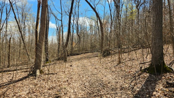 More of Tract 2 - Pike Lake Getaway