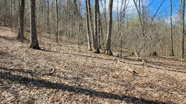 Tract 2 - Pike Lake Getaway property photo