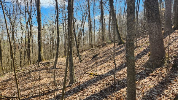 Tract 2 - Pike Lake Getaway property photo